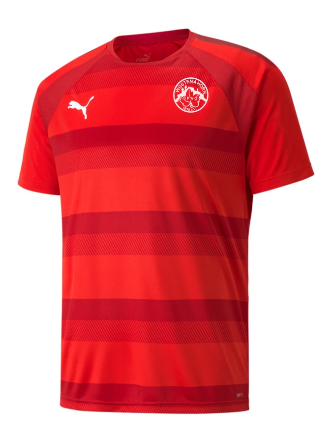 PUMA teamVISION Trikot