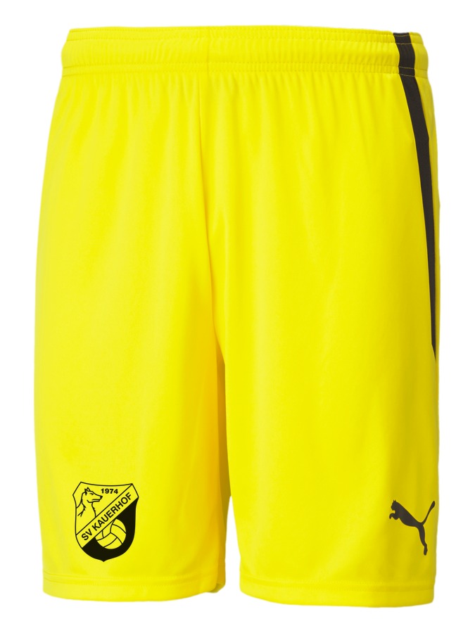 PUMA teamLIGA Shorts