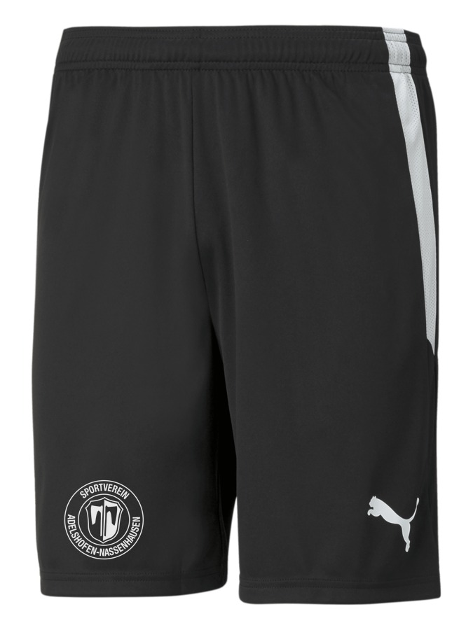PUMA teamLIGA Shorts