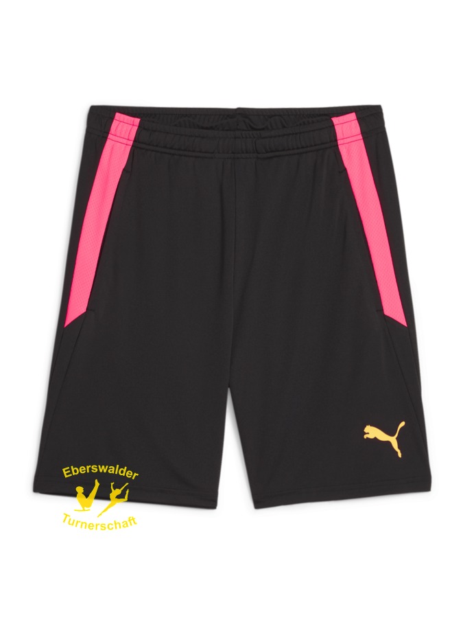 PUMA teamLIGA Training Shorts 2 (Offene Taschen)
