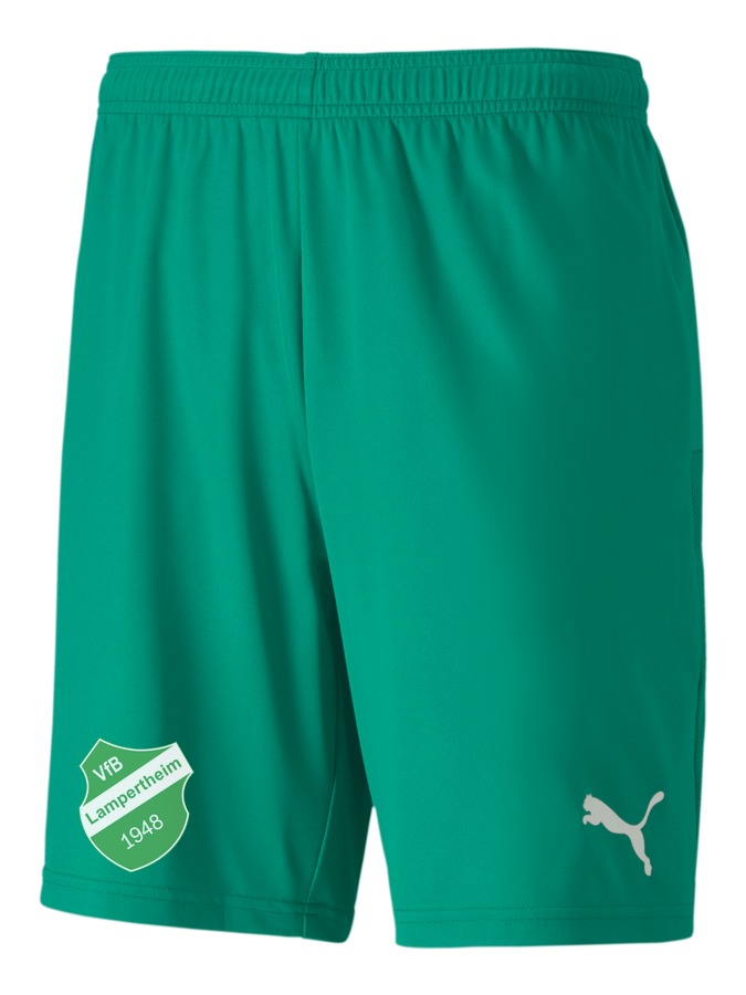 PUMA teamGOAL 23 Knit Shorts