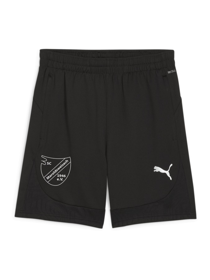 PUMA teamFINAL Training Shorts
