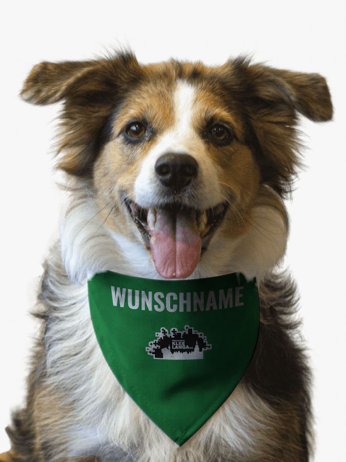 Hundehalstuch