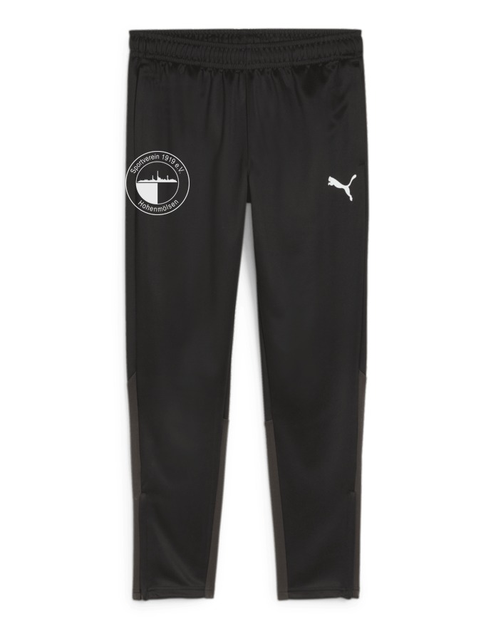 PUMA teamGOAL Trainingshose
