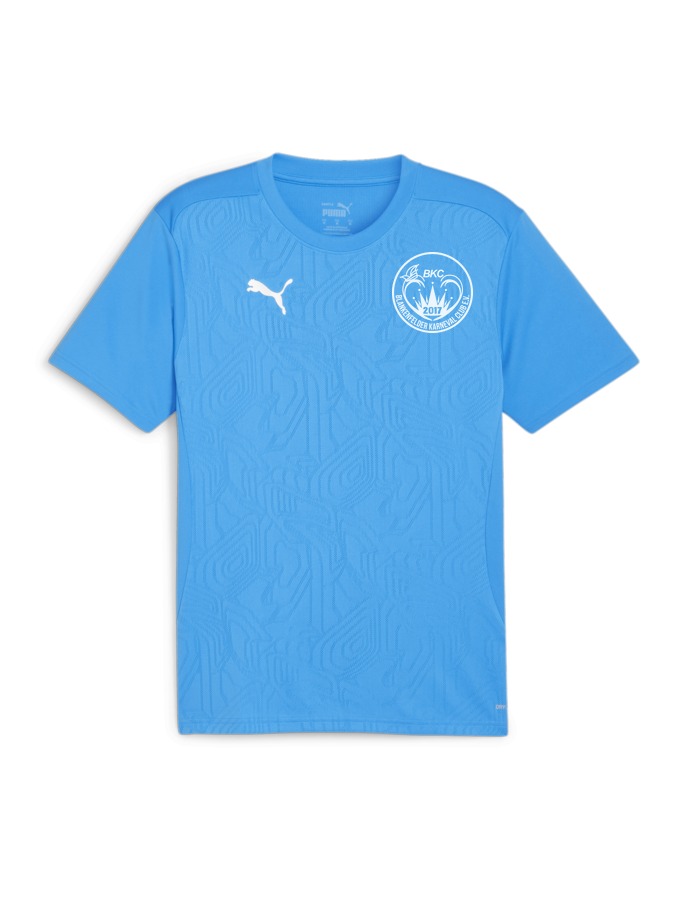 PUMA teamFINAL Trainingsshirt