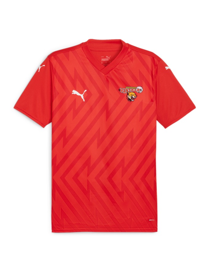PUMA teamGLORY Trikot