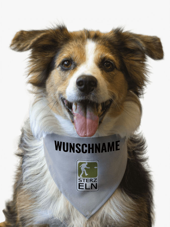 Hundehalstuch