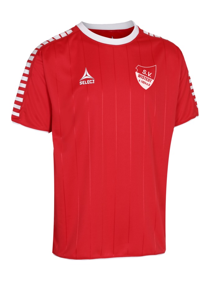 Select Argentina Trikot