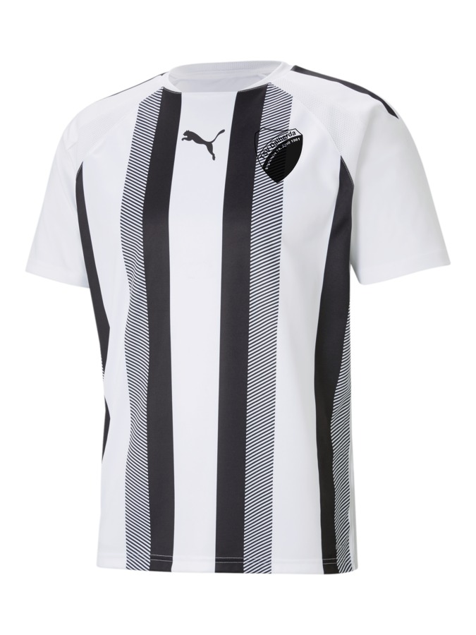 PUMA teamLIGA Striped Trikot