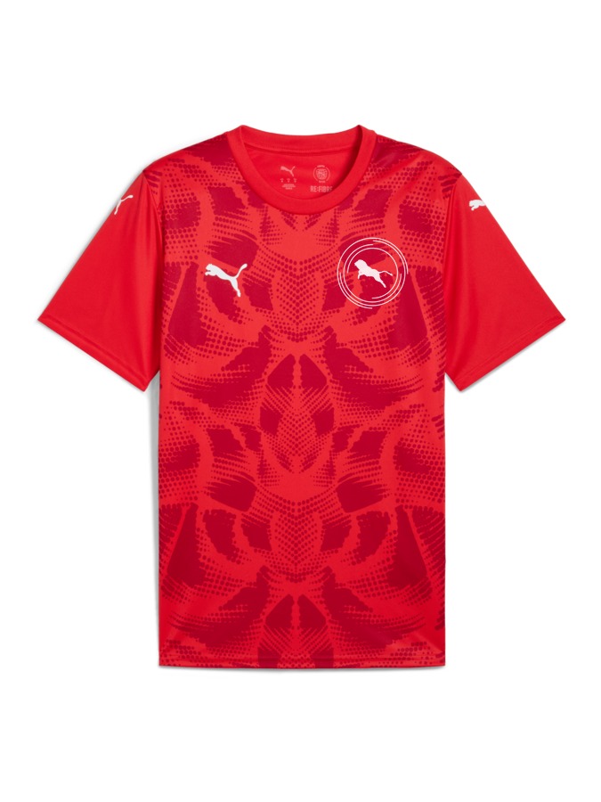 PUMA teamULTIMATE Trikot