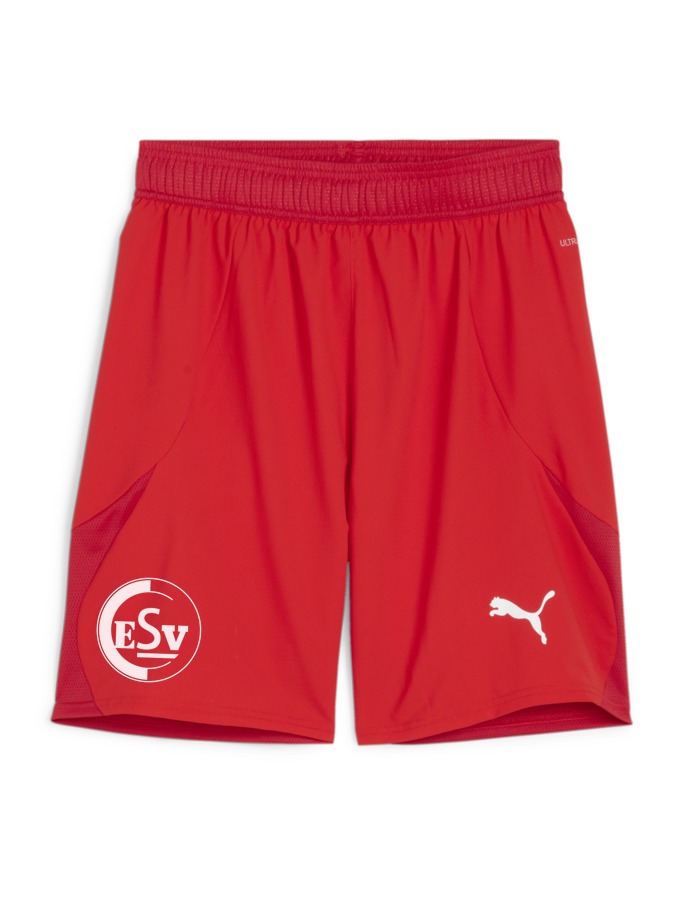 PUMA teamFINAL Shorts