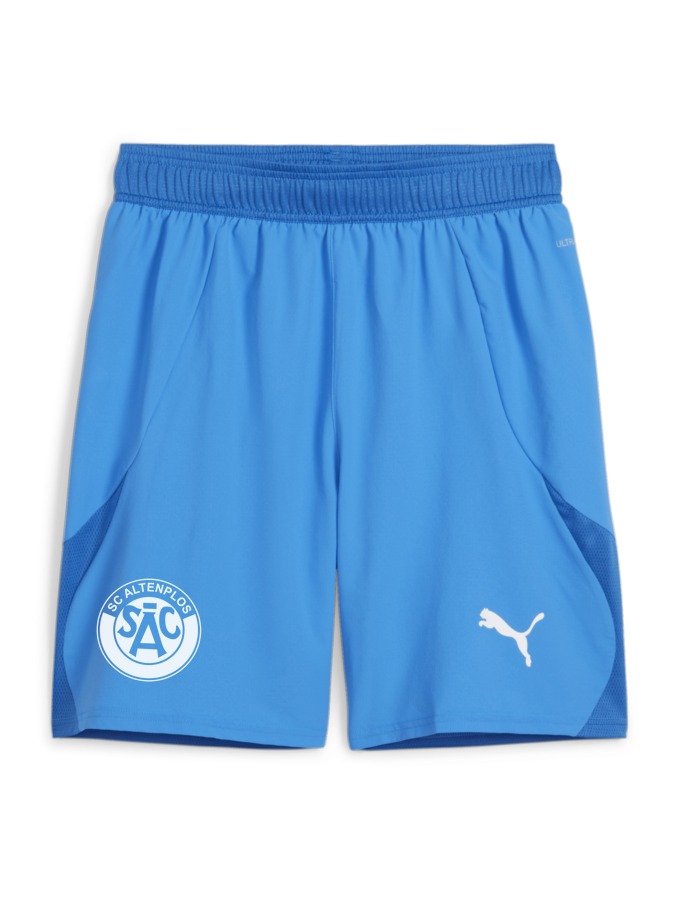 PUMA teamFINAL Shorts