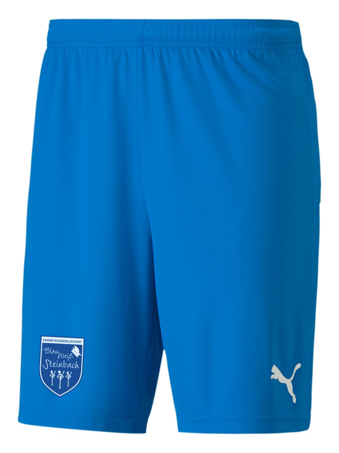 PUMA teamGOAL 23 Knit Shorts