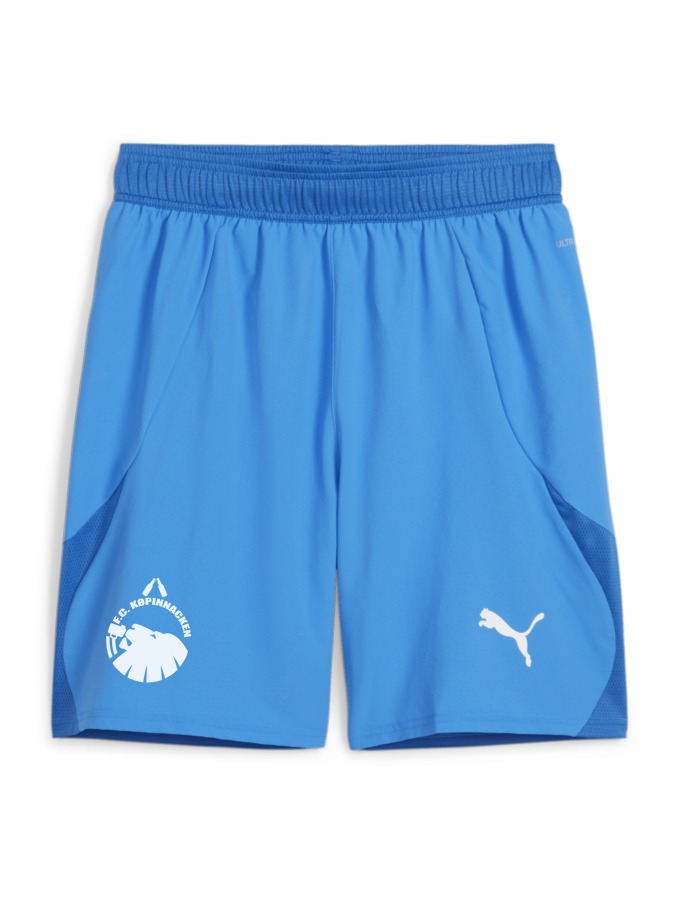 PUMA teamFINAL Shorts