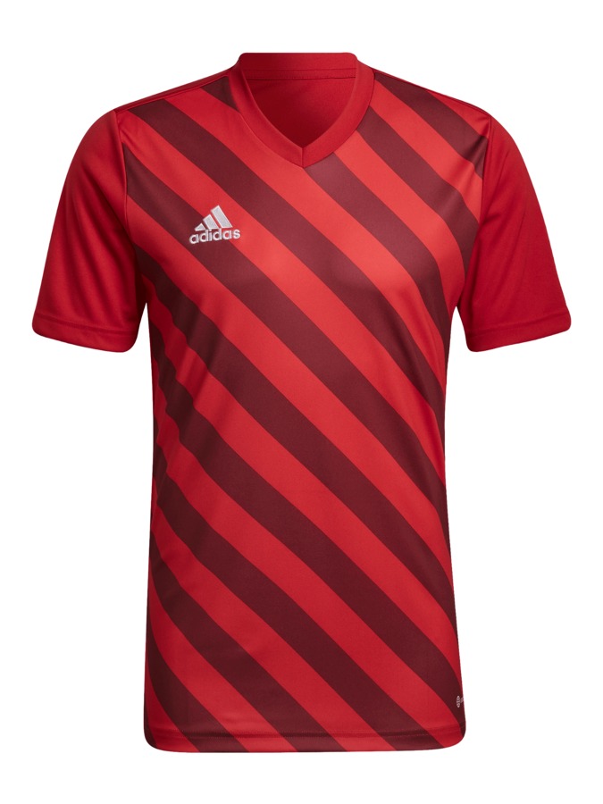 adidas Entrada 22 GFX Trikot