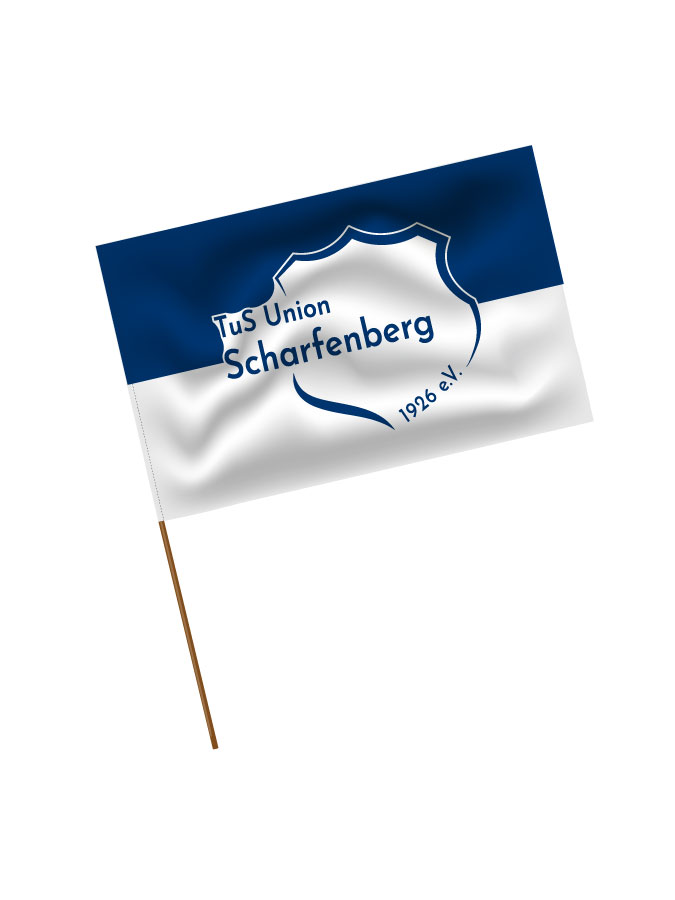 Stadionfahne Logo