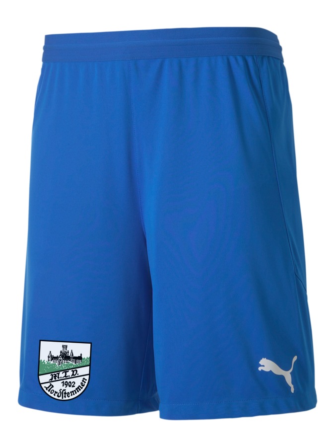 PUMA teamFINAL 21 Knit Shorts