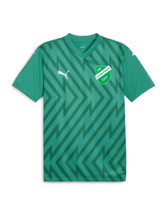 PUMA teamGLORY Trikot