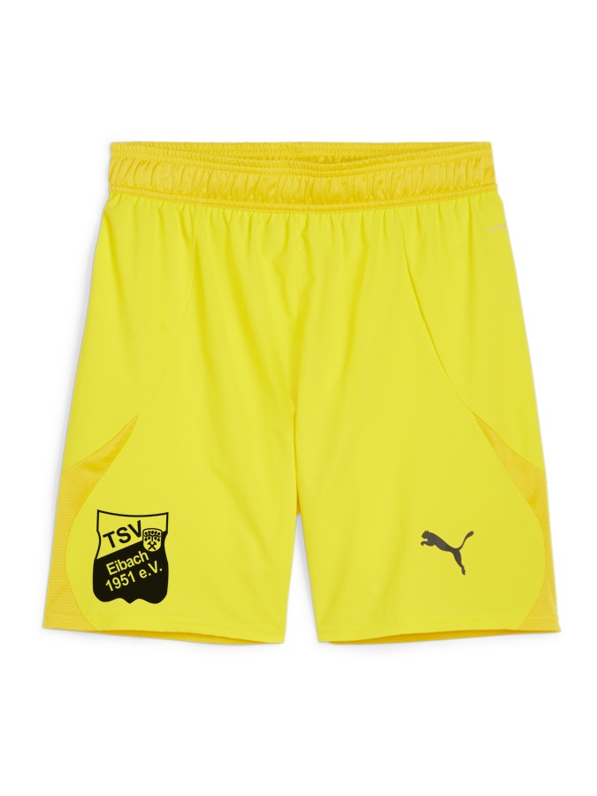 PUMA teamFINAL Shorts