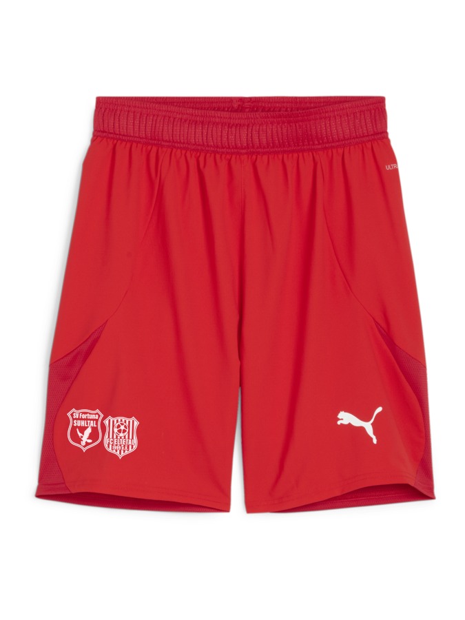 PUMA teamFINAL Shorts