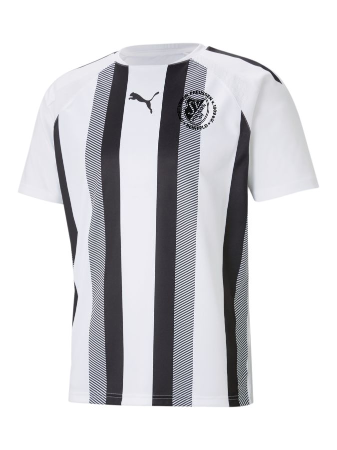 PUMA teamLIGA Striped Trikot