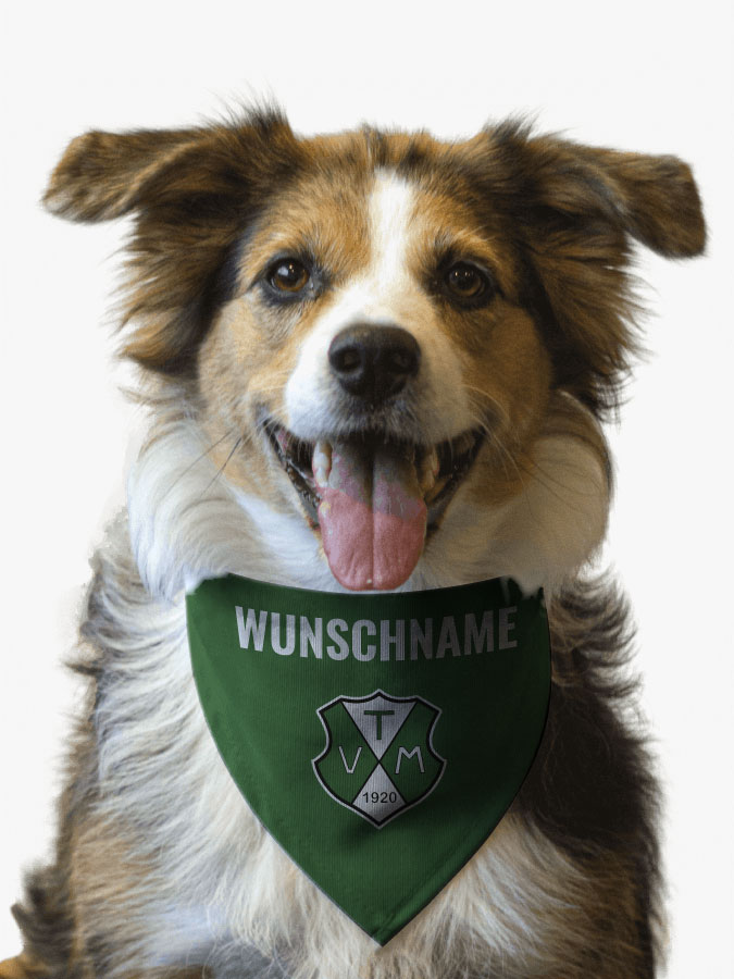 Hundehalstuch