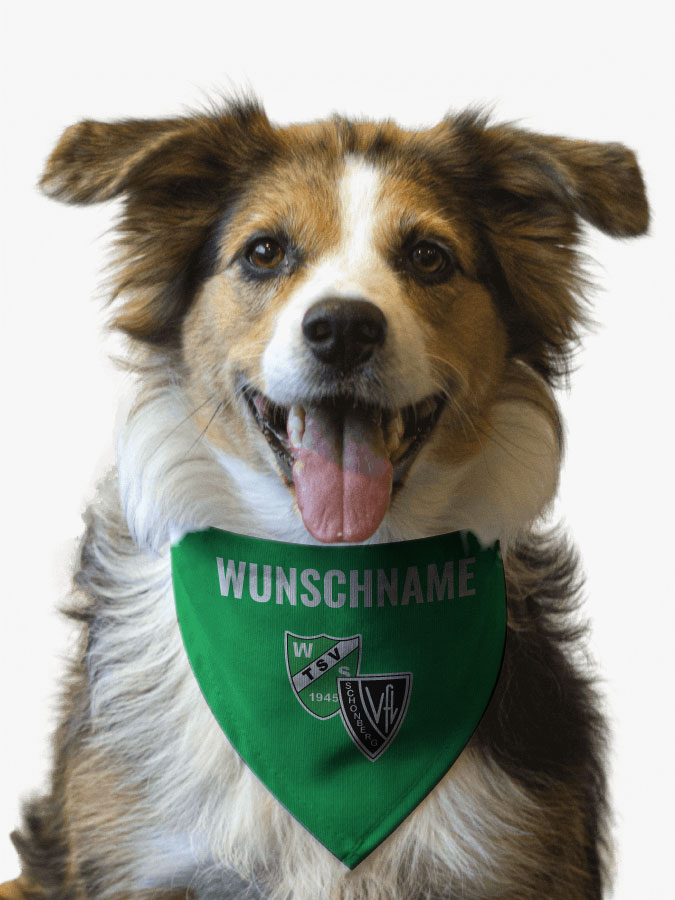 Hundehalstuch