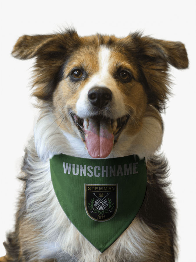 Hundehalstuch