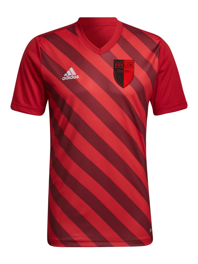 adidas Entrada 22 GFX Trikot