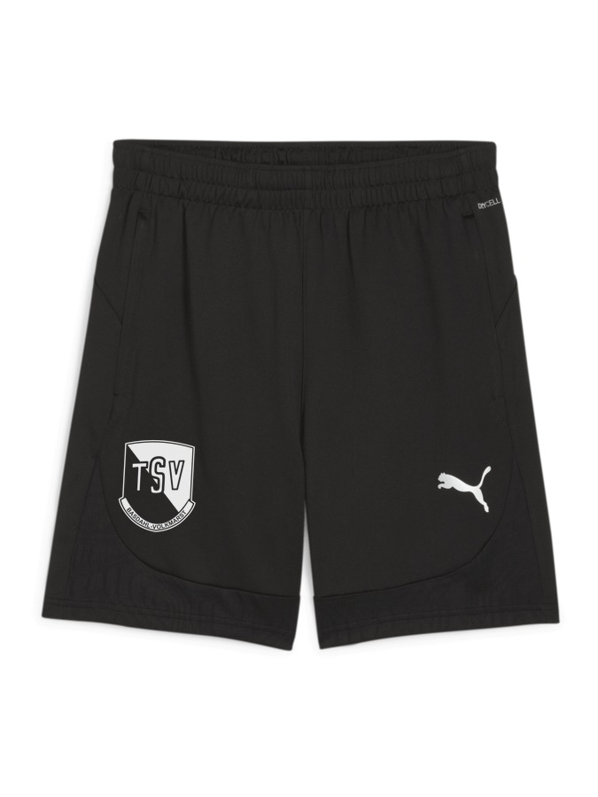 PUMA teamFINAL Training Shorts