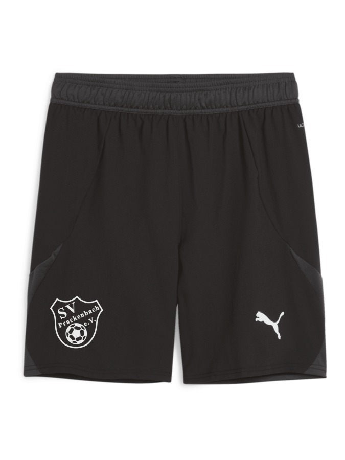 PUMA teamFINAL Shorts