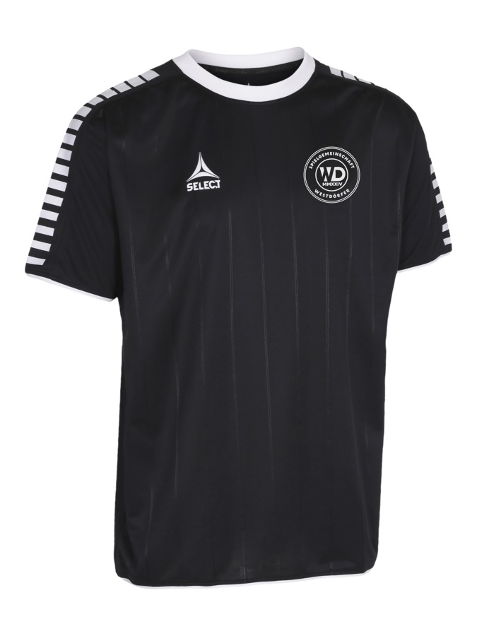 Select Argentina Trikot
