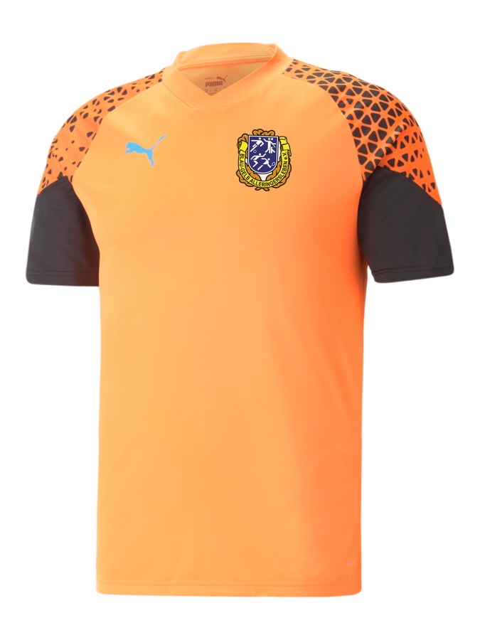 PUMA individualCUP Trainingsshirt
