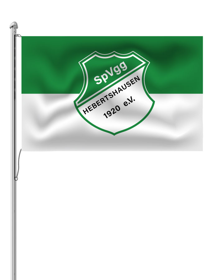 Hissfahne Logo