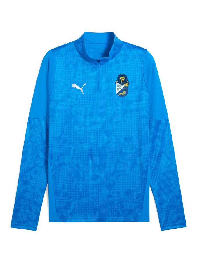 PUMA teamCUP Training 1/4-Zip-Top