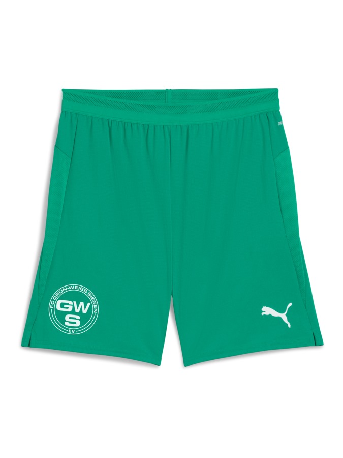 PUMA teamCUP Shorts