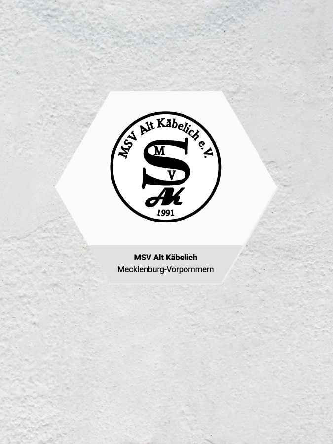 Wandkachel Hexagon mit Logo