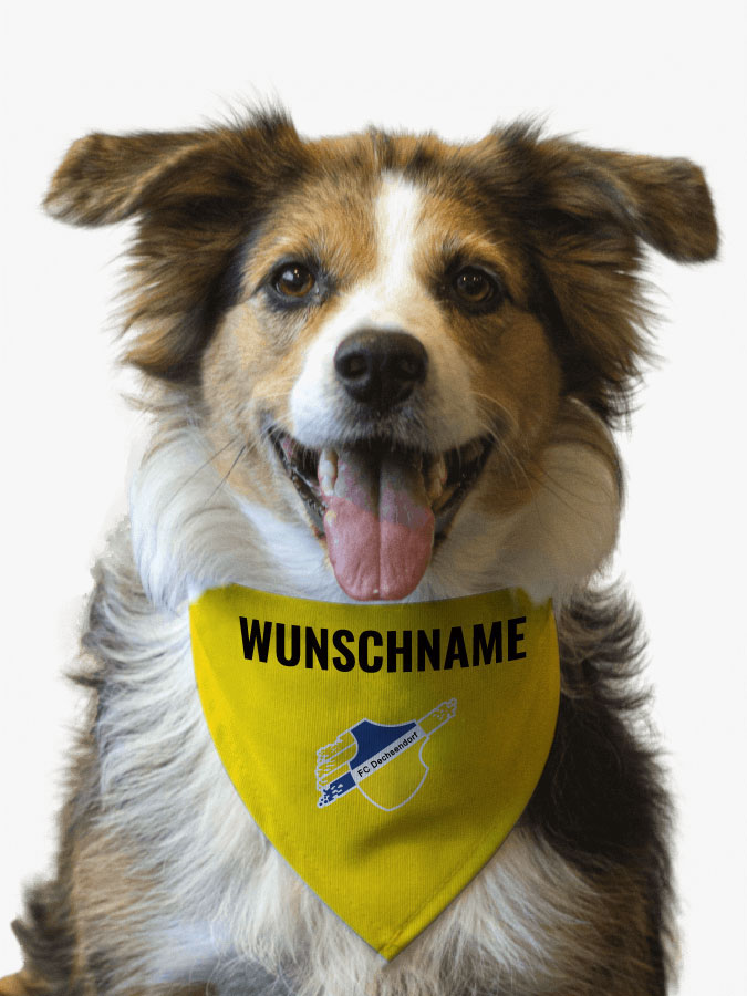 Hundehalstuch
