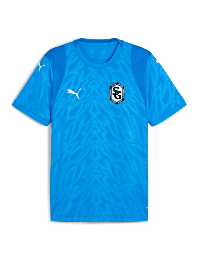 PUMA teamCUP Trikot