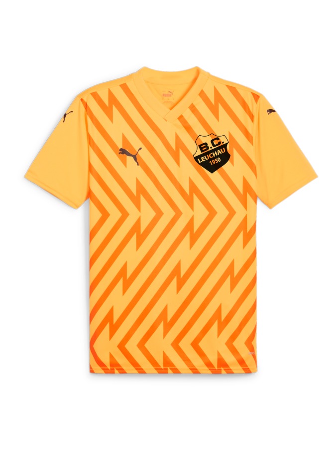 PUMA teamGLORY Trikot