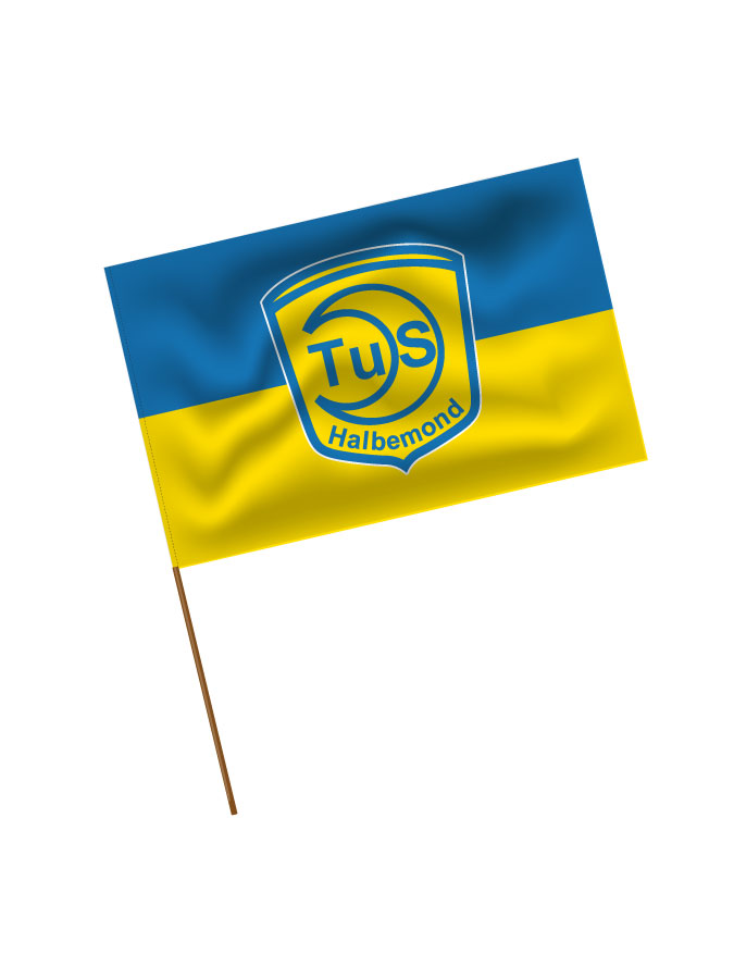Stadionfahne Logo