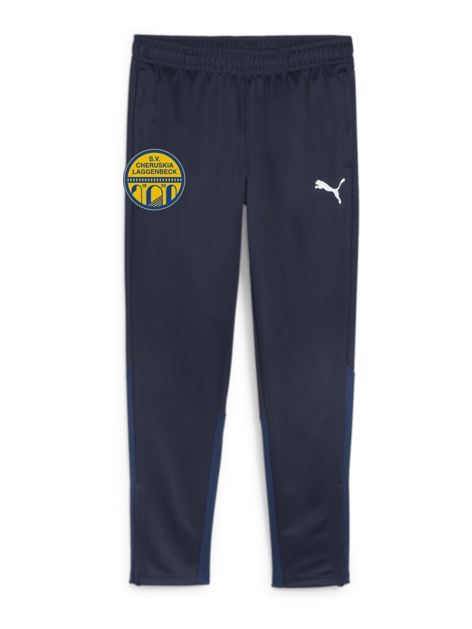 PUMA teamGOAL Trainingshose
