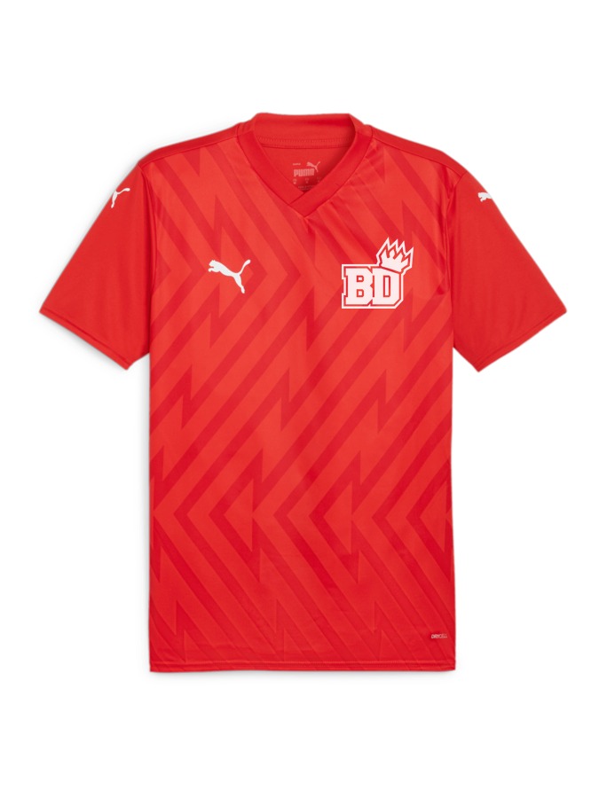 PUMA teamGLORY Trikot