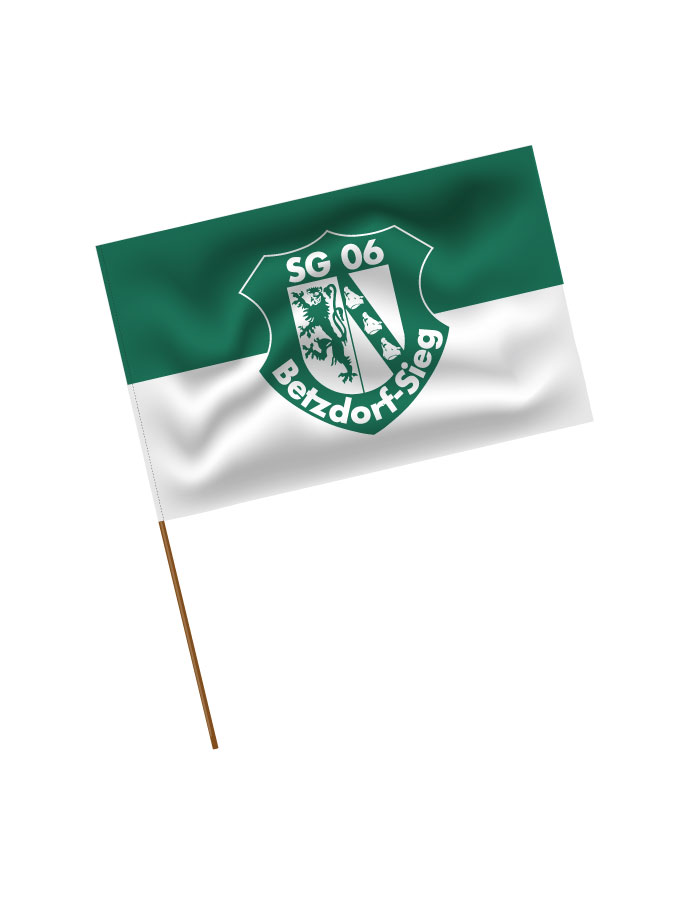 Stadionfahne Logo