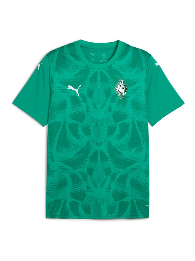 PUMA teamULTIMATE Trikot