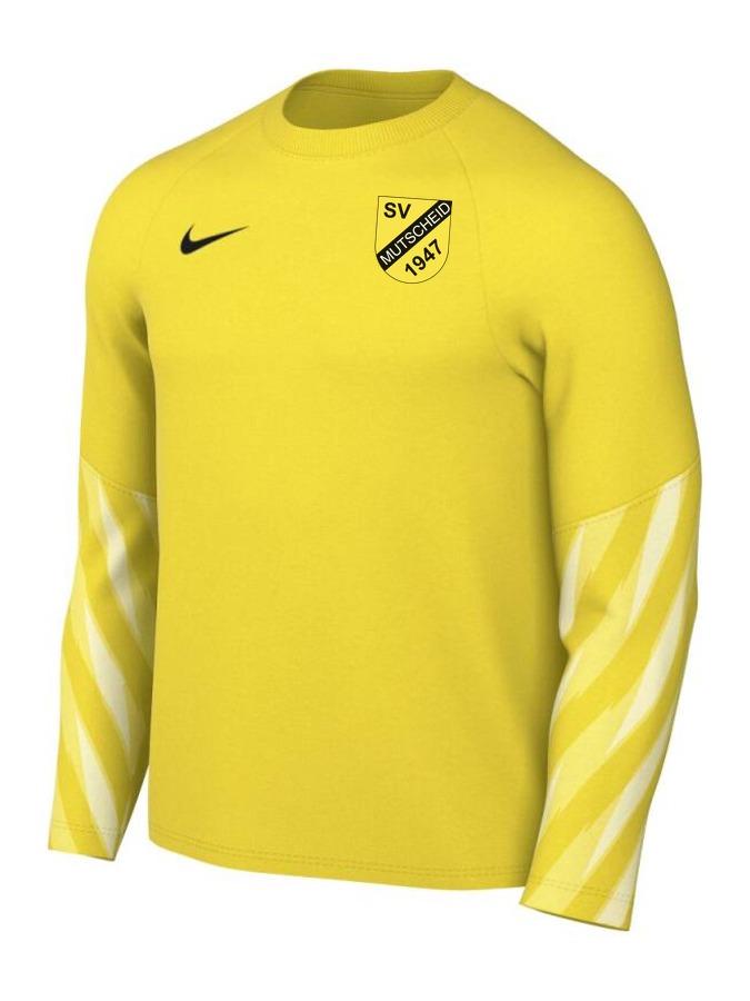 Nike Dri-FIT Park V Torwart Trikot Langarm