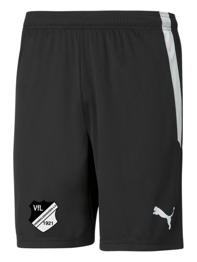 PUMA teamLIGA Shorts