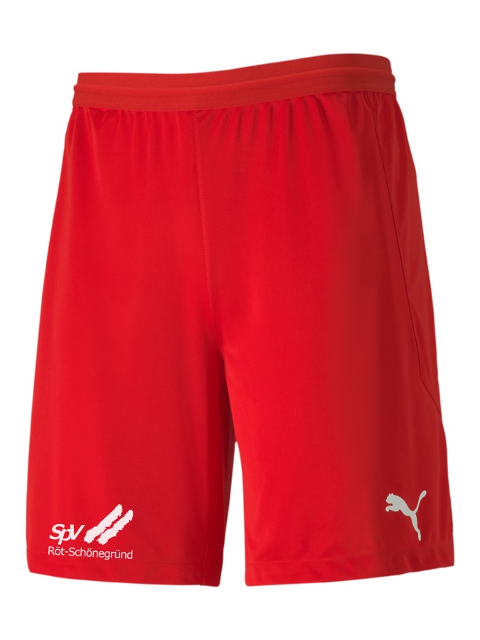 PUMA teamFINAL 21 Knit Shorts