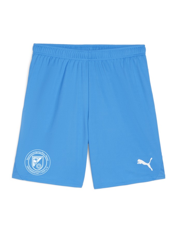 PUMA teamGOAL Shorts