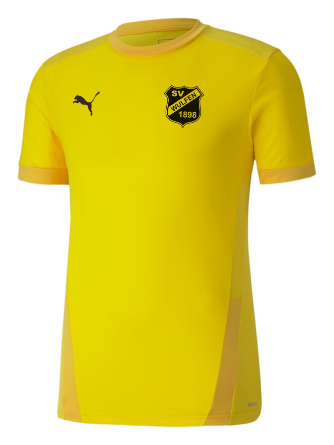 PUMA teamGOAL 23 Trikot